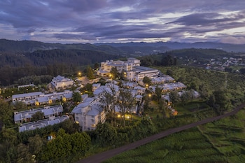 sterling ooty fern hill