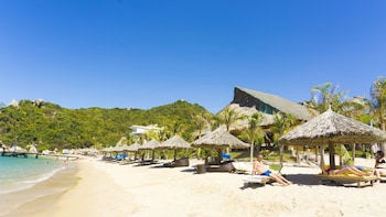 the light coral island resort