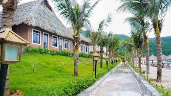 the light coral island resort