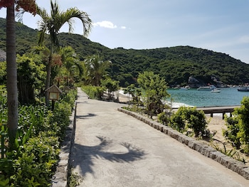 the light coral island resort