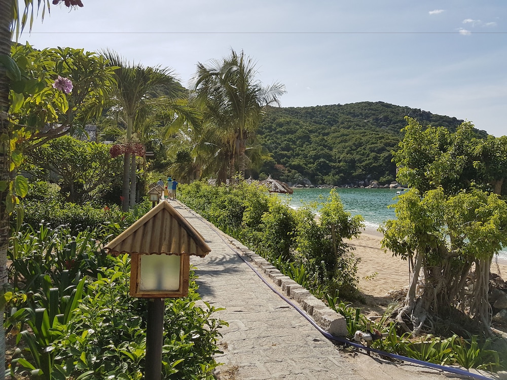 the light coral island resort