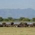 lake manyara national park