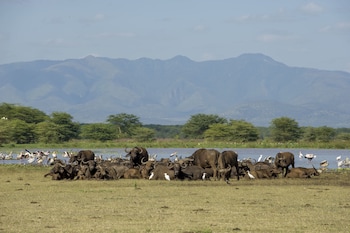 lake manyara national park
