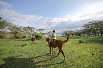 lake elmenteita serena camp
