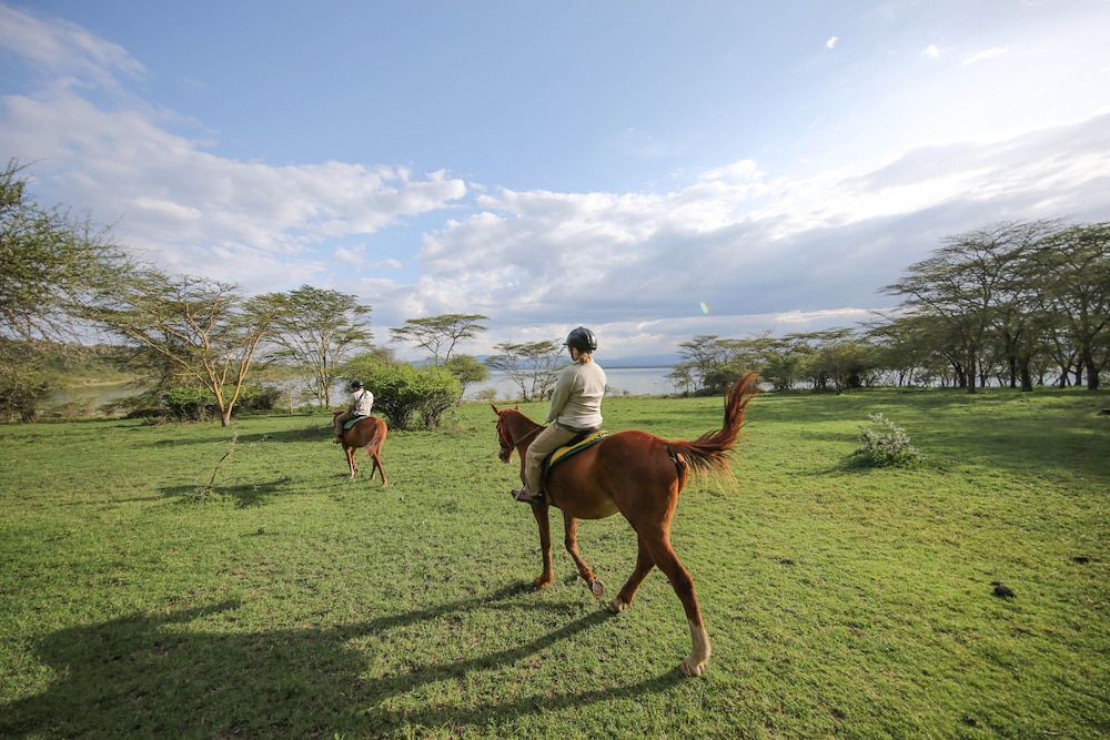 lake elmenteita serena camp