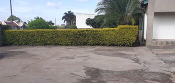 the best green garden guest house in harare