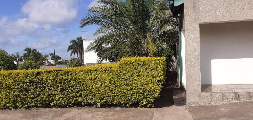 the best green garden guest house in harare