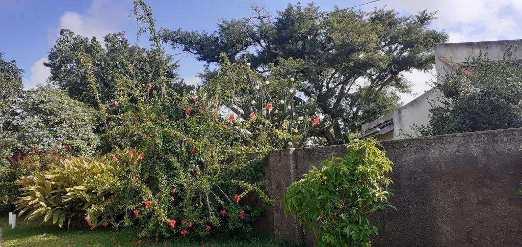 the best green garden guest house in harare