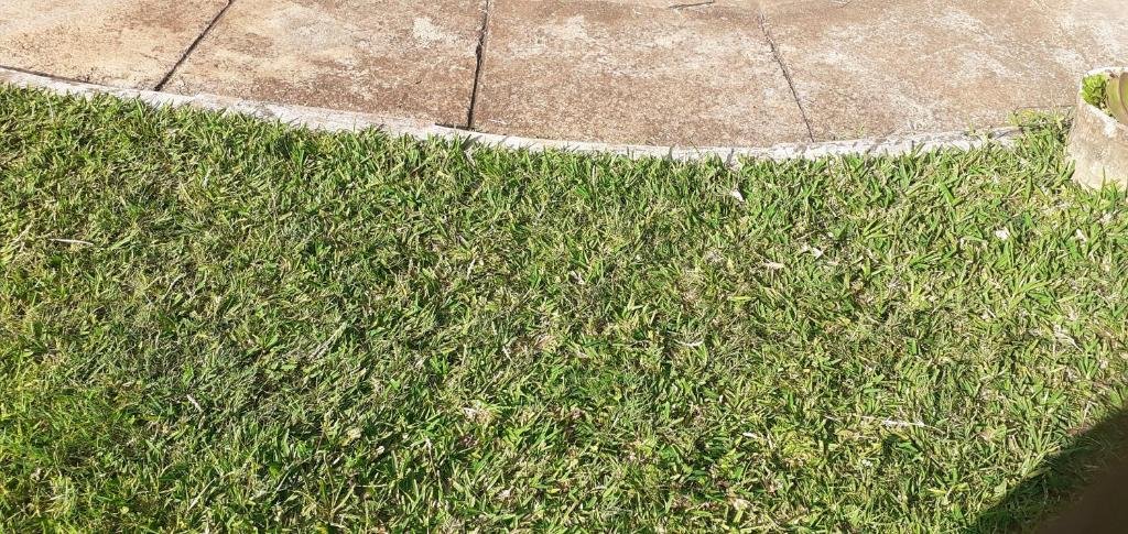 the best green garden guest house in harare