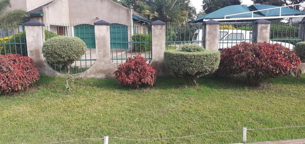 the best green garden guest house in harare