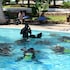 paradise beach resort