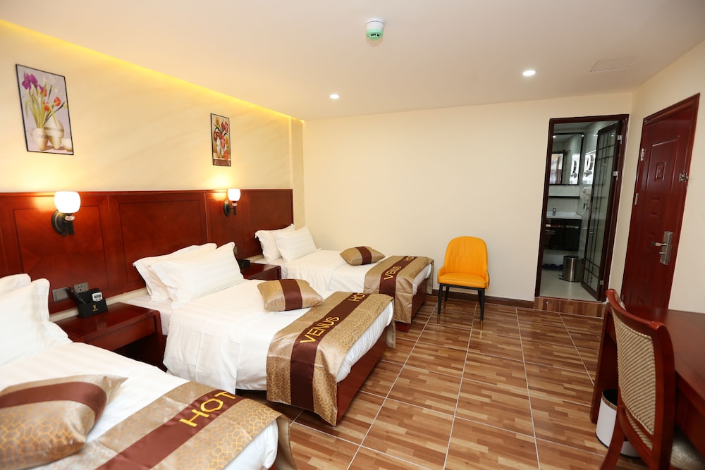 petra venus hotel
