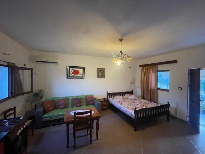 selvi apartment
