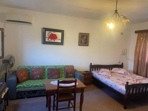 selvi apartment