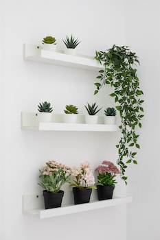 malone crescent apartment