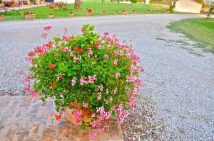 castiglione del lago