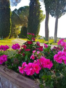 morami wine agriturismo