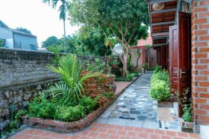 tam coc cormfield homestay