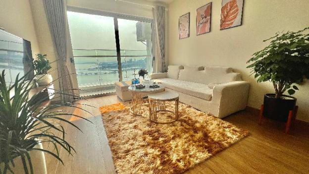 sapphire homestay h long