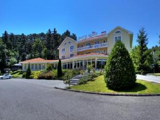 villa medici hotel restaurant