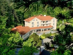 villa medici hotel restaurant