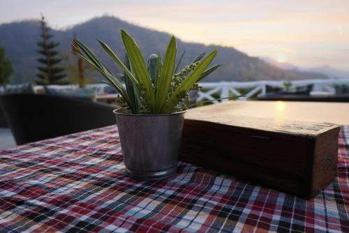 kham resort khao yai