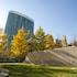 the ritz carlton beijing financial street