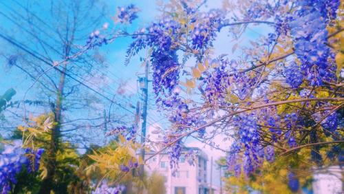 santhosham hostel