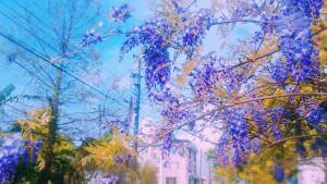 santhosham hostel