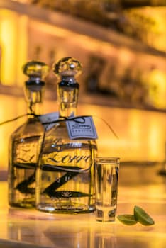 hotel posada del hidalgo by balderrama hotel collection