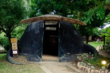 addo dung beetle guest farm