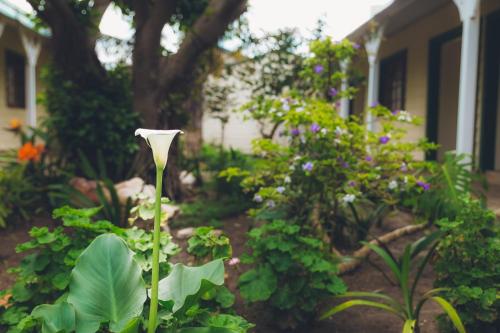 gqeberha port elizabeth