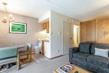 lifthouse lodge a studio condo