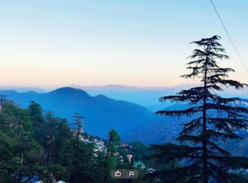 the boho near mall road