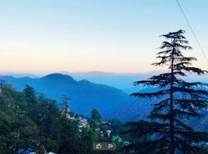 the boho near mall road