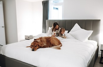 level los angeles downtown south olive