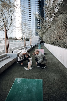 level los angeles downtown south olive