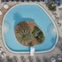 esperides beach resort