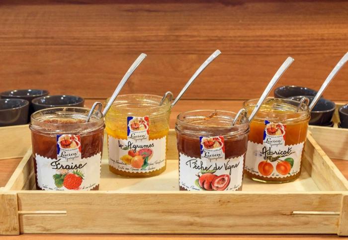 ibis toulouse universite