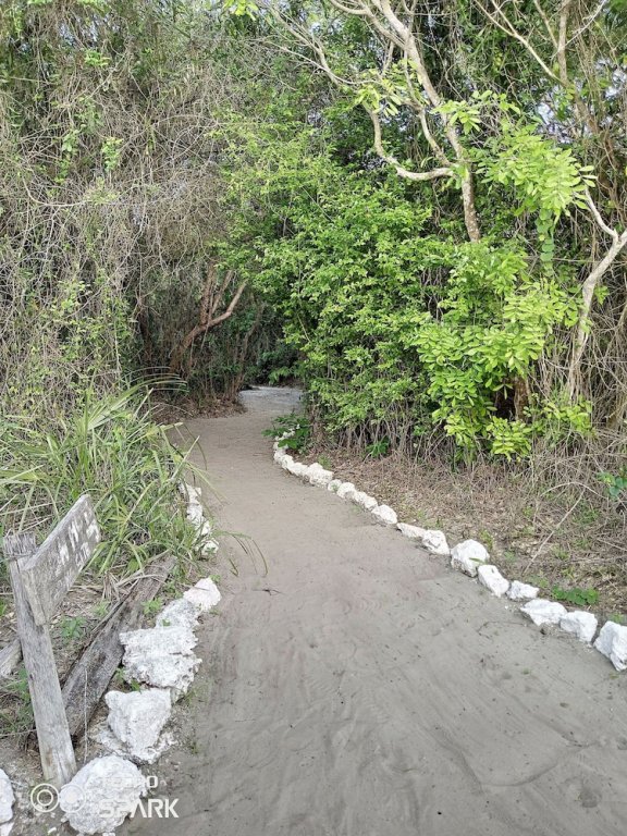 mida creek eco camp relax in cosy cottage