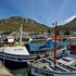 st james guesthouses