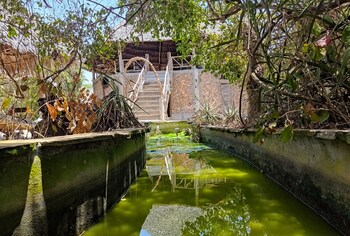 mida creek eco camp community project mida creek watamu kilifi county