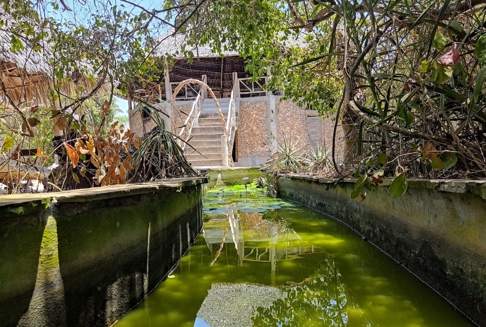 mida creek eco camp community project mida creek watamu kilifi county
