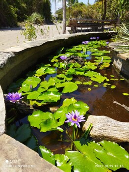 mida creek eco camp community project mida creek watamu kilifi county