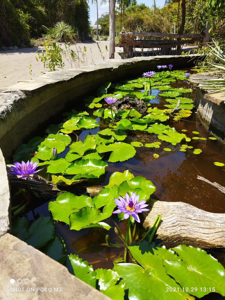 mida creek eco camp community project mida creek watamu kilifi county