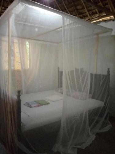 mida creek eco camp community project mida creek watamu kilifi county