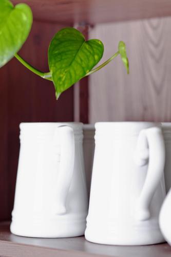 hotel villa ambrosina