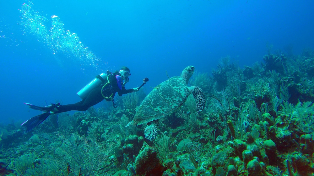 hopkins bay belize a muyono resort