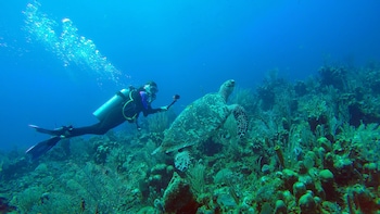 hopkins bay belize a muyono resort