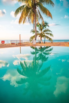 hopkins bay belize a muyono resort